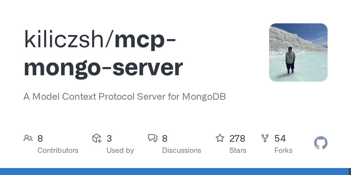 mcp-mongo-server